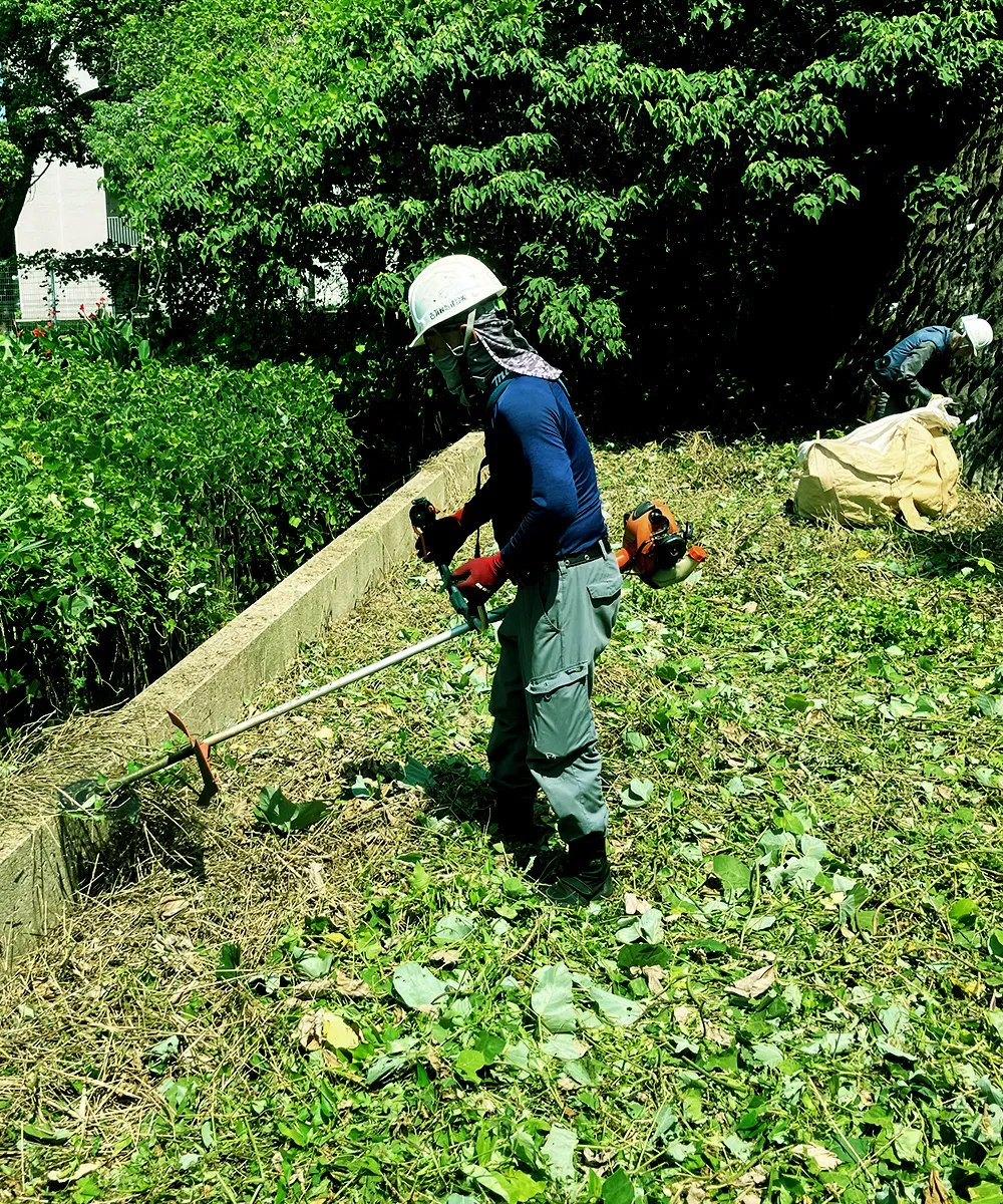 【開発環境】古賀緑地建設