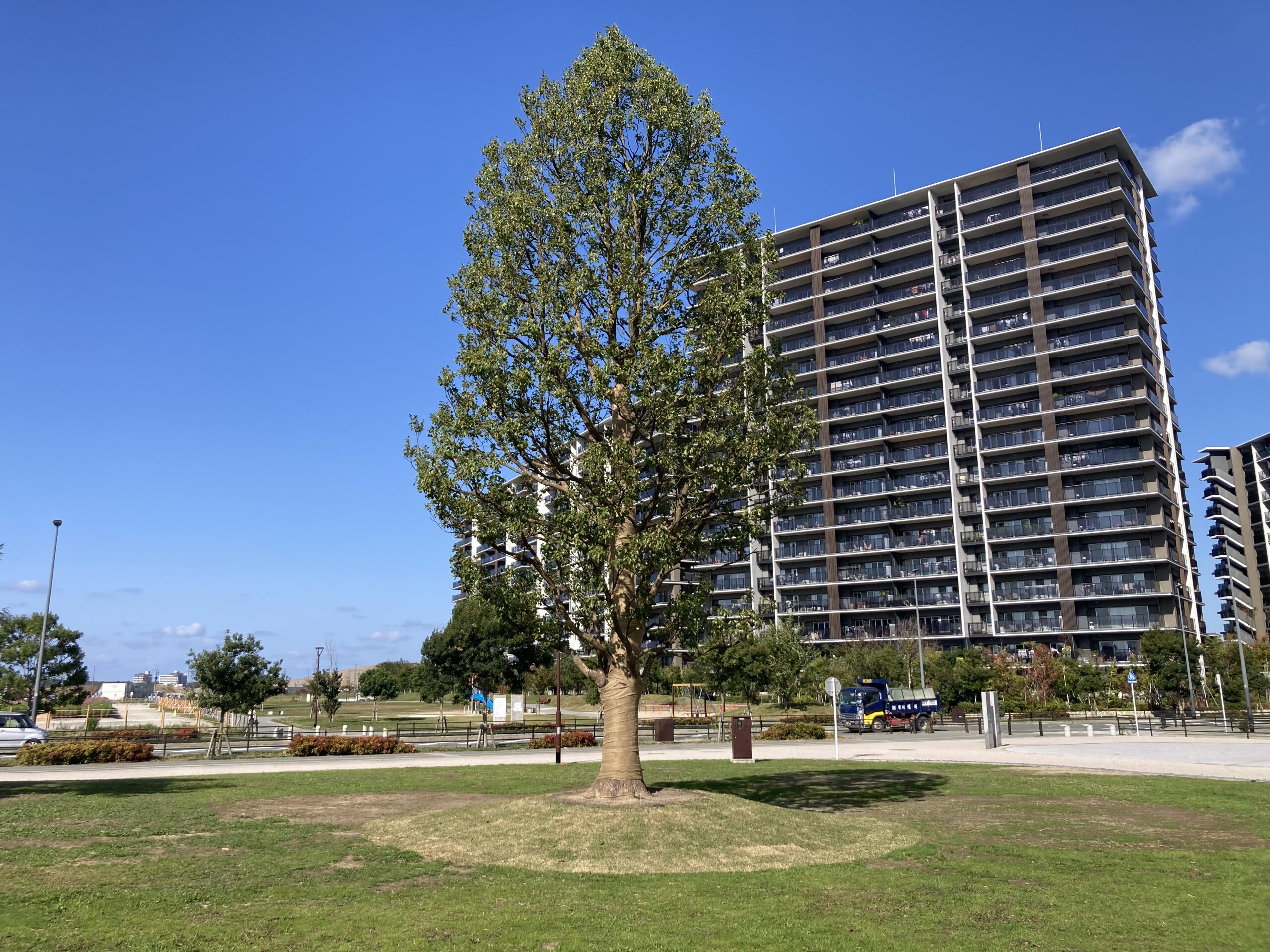 【開発環境】古賀緑地建設