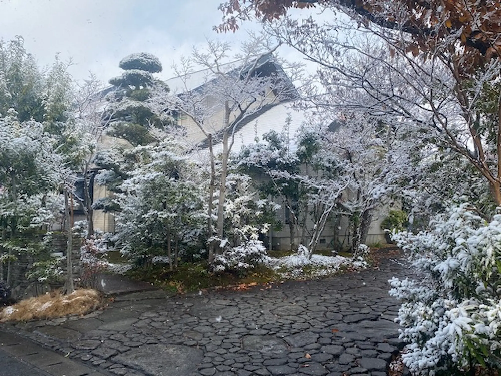 【開発環境】古賀緑地建設